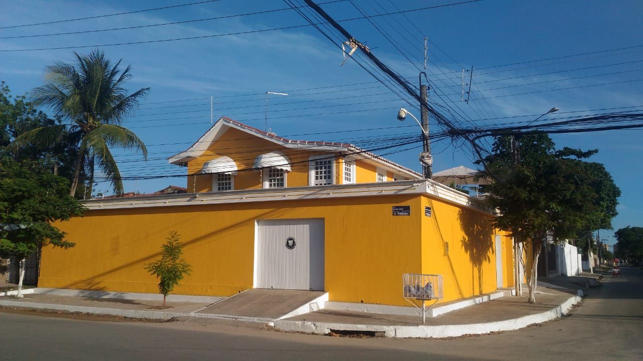 foto - Paulista - Pau Amarelo